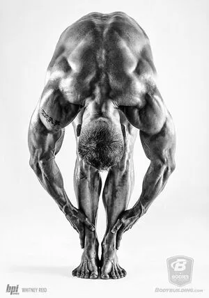 Bodybuilding Com S Bodieswork OnlyFans Leaked Free Thumbnail Picture - #vQi2L0WSX9