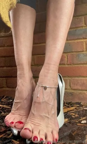 Bornroyal Feetfree OnlyFans Leaked Free Thumbnail Picture - #cfbgzsz2hR
