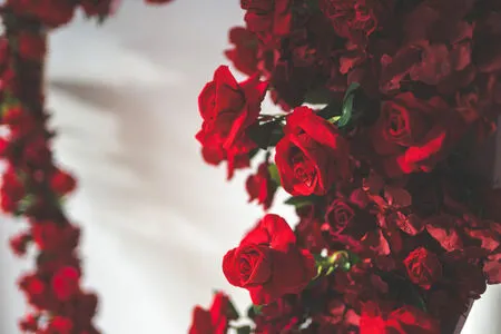 Boudoir OnlyFans Leaked Free Thumbnail Picture - #t0Pp0U8i6n