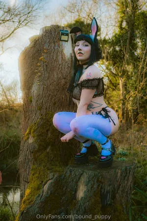 Bound Puppy OnlyFans Leaked Free Thumbnail Picture - #3PI7sb5hno