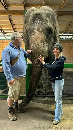 Brandilovefreee OnlyFans Leaked Free Thumbnail Picture - #K0PKpfmIpP