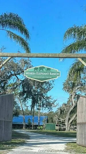 Brandilovefreee OnlyFans Leaked Free Thumbnail Picture - #WzwTIGDiKI