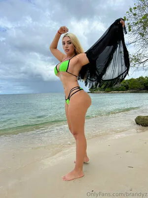Brandyz OnlyFans Leaked Free Thumbnail Picture - #JJf4PoIm17