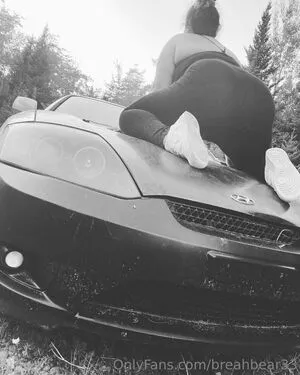 Breahbear33 OnlyFans Leaked Free Thumbnail Picture - #fHmDNbzIMB