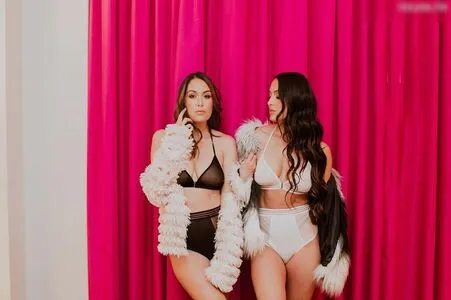 Brie Bella OnlyFans Leaked Free Thumbnail Picture - #8GmXe9410Y