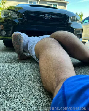 Briefsbull OnlyFans Leaked Free Thumbnail Picture - #nyHyROndnr