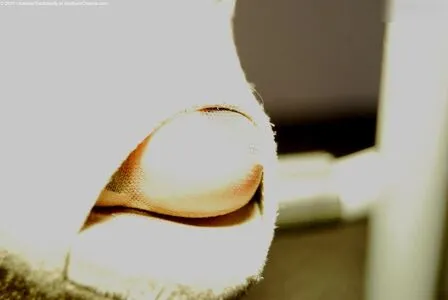 Brilliant Paula OnlyFans Leaked Free Thumbnail Picture - #x1vnKvBEe8