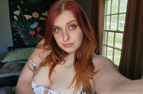 Brinacatfree OnlyFans Leaked Free Thumbnail Picture - #n9iHuUdr00