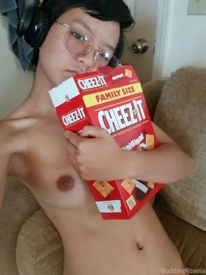 Buddingroselia OnlyFans Leaked Free Thumbnail Picture - #b62hvP8siN