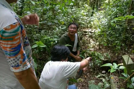 Bukit Brown OnlyFans Leaked Free Thumbnail Picture - #0a28NIPnrE