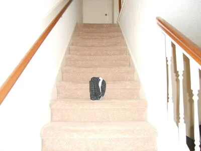 Bulletheadxyz OnlyFans Leaked Free Thumbnail Picture - #toTFPNLTz0