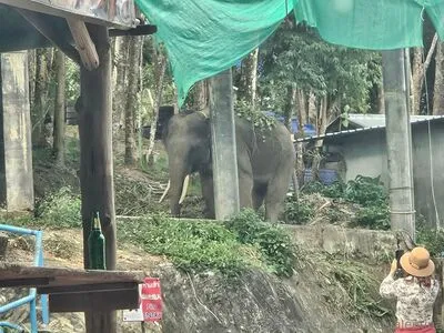 Bulletvalentina OnlyFans Leaked Free Thumbnail Picture - #EcEYl2lOaB