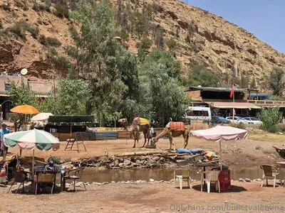 Bulletvalentina OnlyFans Leaked Free Thumbnail Picture - #HkJko73rUk