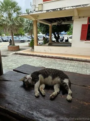 Bulletvalentina OnlyFans Leaked Free Thumbnail Picture - #yYcR8K2Vai