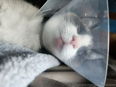 Bumblebieve OnlyFans Leaked Free Thumbnail Picture - #Rx3uAwcoX8