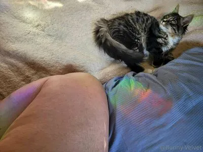 Bunny Velvet OnlyFans Leaked Free Thumbnail Picture - #YAXNjO1cRb