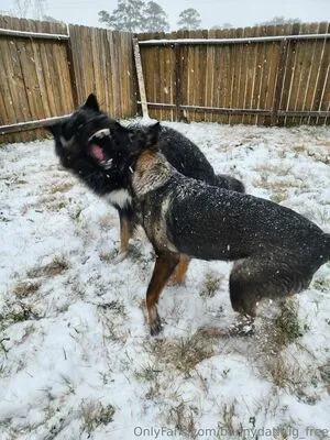 Bunnydathug Free OnlyFans Leaked Free Thumbnail Picture - #uVLSbYooR5