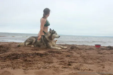 Busbuddies OnlyFans Leaked Free Thumbnail Picture - #yvTGO77FQU