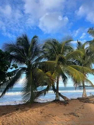 Busty Booty Blonde OnlyFans Leaked Free Thumbnail Picture - #HLTFcP7Qaq