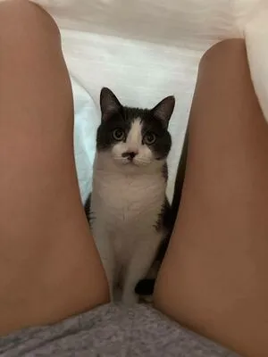 busya18plus OnlyFans Leaked Free Thumbnail Picture - #T1fSd6DNJF