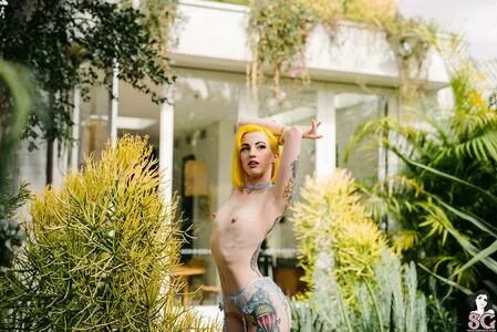 Buttonz OnlyFans Leaked Free Thumbnail Picture - #gwqZLsibbI