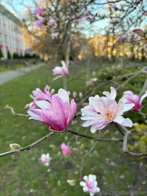 Byebblue OnlyFans Leaked Free Thumbnail Picture - #ErUUNLSPMF