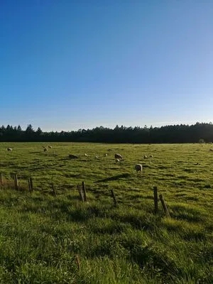 C Oraline OnlyFans Leaked Free Thumbnail Picture - #7Bx1PtBZfZ