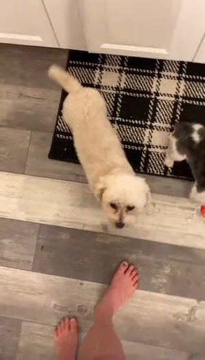 Calli Gade OnlyFans Leaked Free Thumbnail Picture - #x1T5R4cwOc