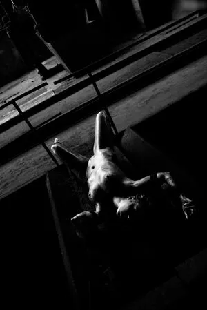 Calvato Photography Patreon OnlyFans Leaked Free Thumbnail Picture - #5jS3rSKS2y