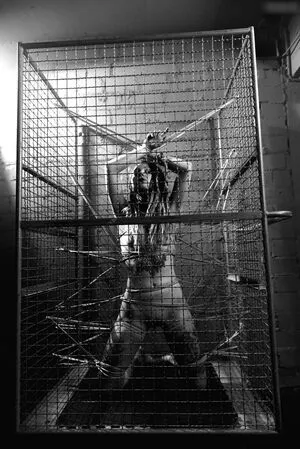 Calvato Photography Patreon OnlyFans Leaked Free Thumbnail Picture - #E9W0q2Nz7q