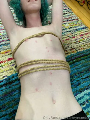 Camryncorder OnlyFans Leaked Free Thumbnail Picture - #dgUcaKudwS