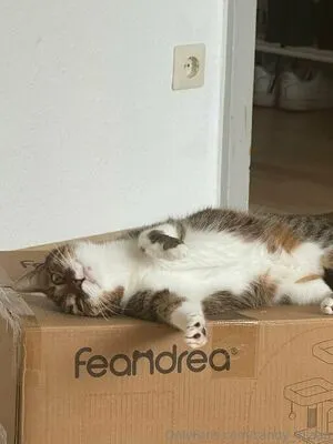 Candy Lolaaa OnlyFans Leaked Free Thumbnail Picture - #rhxP1nsJuD