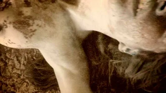 Carmen Garcia OnlyFans Leaked Free Thumbnail Picture - #BFYKLustNh