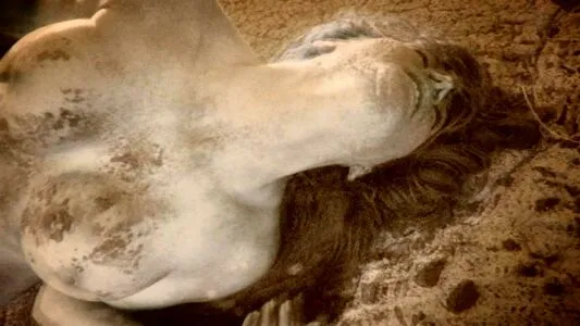 Carmen Garcia OnlyFans Leaked Free Thumbnail Picture - #BYR7V0Gvof