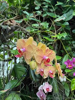 Carriemadsinfree OnlyFans Leaked Free Thumbnail Picture - #jwWO0moaDG