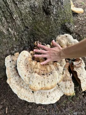 Carriemadsinfree OnlyFans Leaked Free Thumbnail Picture - #rbryn7kshQ