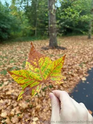 Carriemadsinfree OnlyFans Leaked Free Thumbnail Picture - #smg8OKG6eC