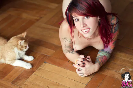 Cartoon Sg OnlyFans Leaked Free Thumbnail Picture - #GzyysYhSj3