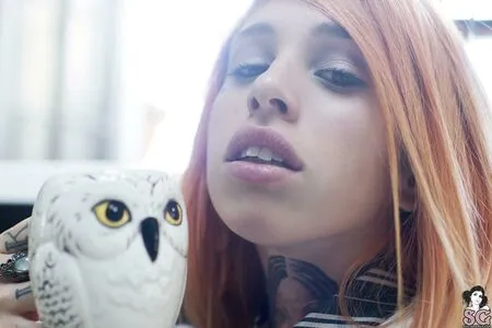 Cartoon Sg OnlyFans Leaked Free Thumbnail Picture - #YNWuNa0u0G