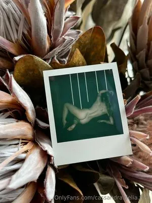 Cassandra Delia Free OnlyFans Leaked Free Thumbnail Picture - #MXvmJoLXpp