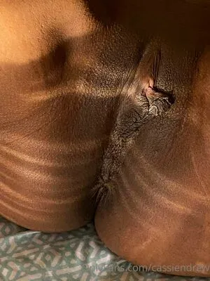 Cassieclover OnlyFans Leaked Free Thumbnail Picture - #rNQ9kDjOQU