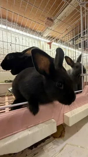 Catiescos OnlyFans Leaked Free Thumbnail Picture - #IBhld6J9lZ