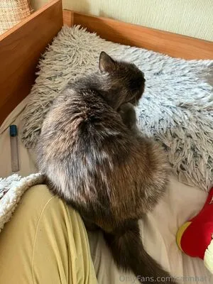 Catinhat7 OnlyFans Leaked Free Thumbnail Picture - #b4jjRXqyEh