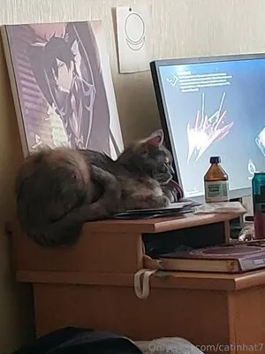 Catinhat7 OnlyFans Leaked Free Thumbnail Picture - #pbz21BhwxP