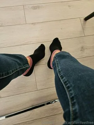 Cavalierifeetfree OnlyFans Leaked Free Thumbnail Picture - #0SnREqp3oM
