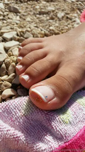 Cavalierifeetfree OnlyFans Leaked Free Thumbnail Picture - #9j7rGVTMHn