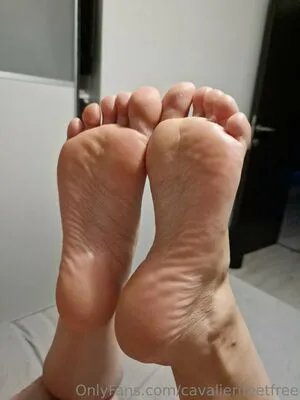 Cavalierifeetfree OnlyFans Leaked Free Thumbnail Picture - #9oeHcmKIsr