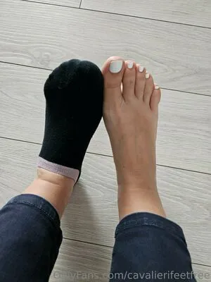 Cavalierifeetfree OnlyFans Leaked Free Thumbnail Picture - #GJllPKSCUn