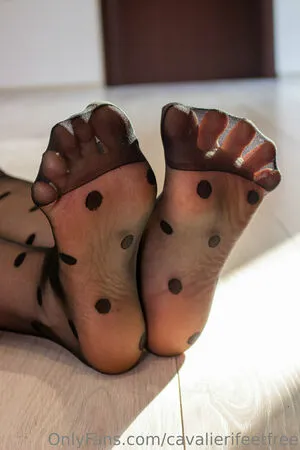 Cavalierifeetfree OnlyFans Leaked Free Thumbnail Picture - #TysnT3VRHU