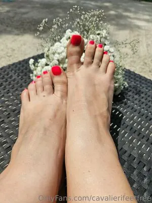 Cavalierifeetfree OnlyFans Leaked Free Thumbnail Picture - #UYF4iaMlyq